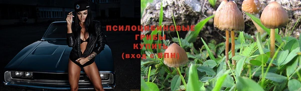 каннабис Алексеевка
