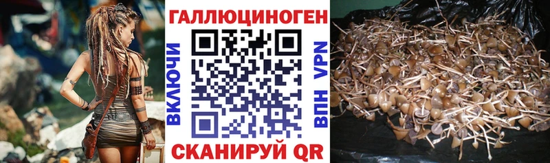 KRAKEN tor Крымск Псилоцибиновые грибы Cubensis