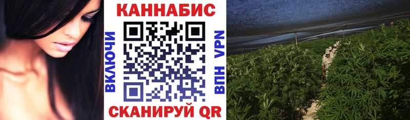 наркотики  Крымск  дарк нет какой сайт  Каннабис SATIVA & INDICA 